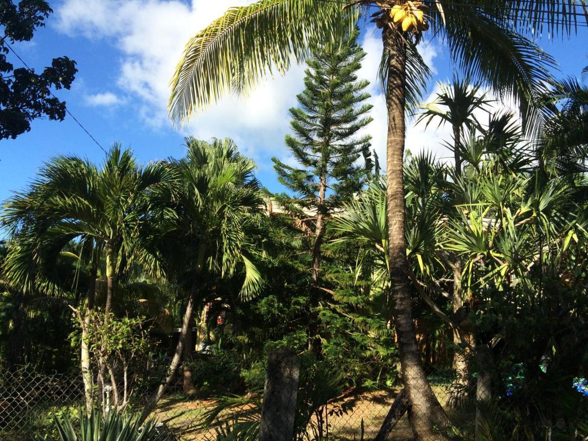 Villa le safran-le triskell Deshaies Esterno foto