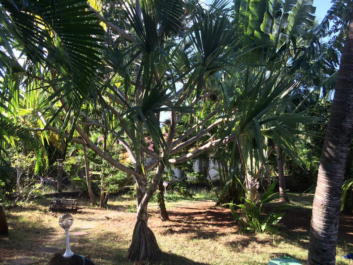 Villa le safran-le triskell Deshaies Esterno foto